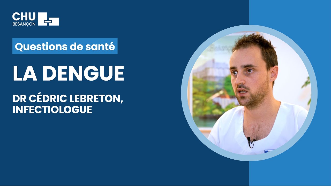 Dengue : transmission, symptômes, facteurs de risque, prévention