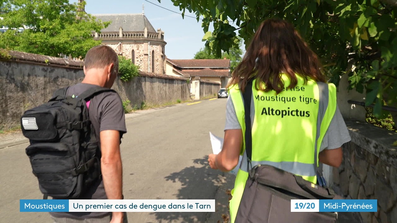 Premier cas de dengue autochtone en France métropolitaine cette saison