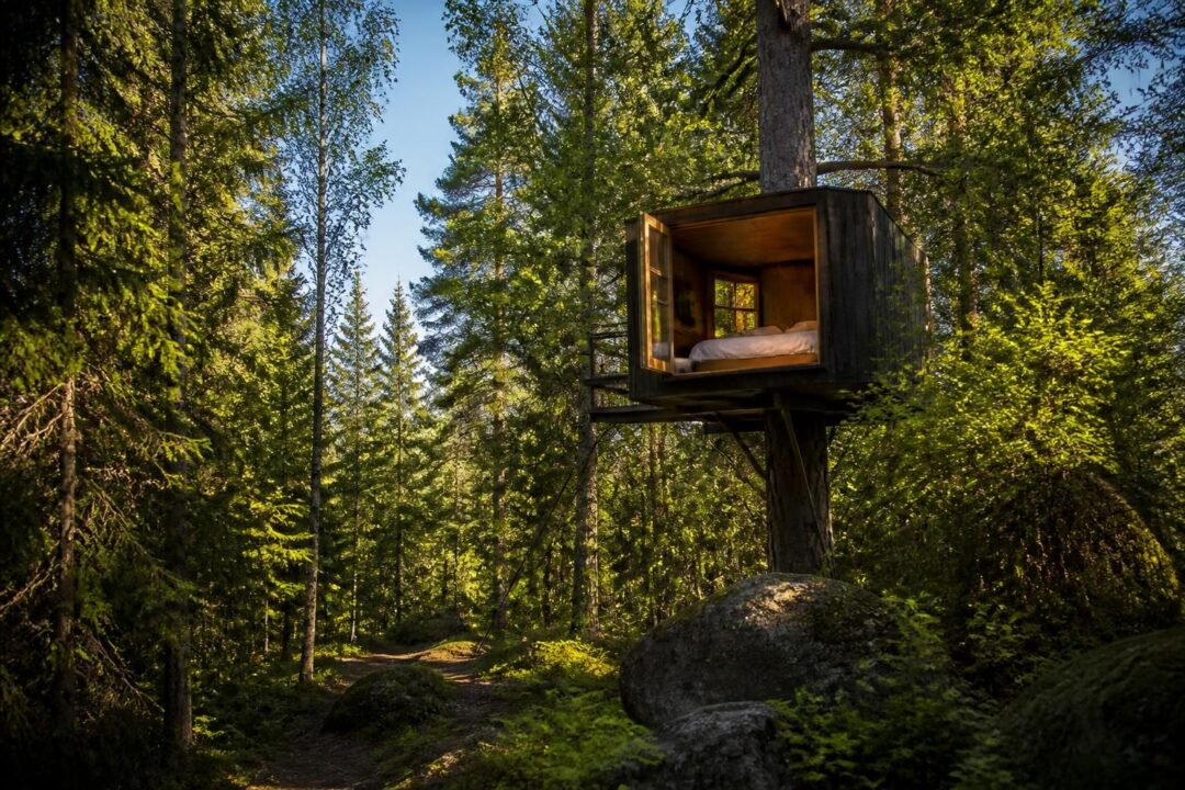 découvrez le tree hotel en suède et vivez une expérience unique en dormant dans une cabane perchée au cœur de la nature.