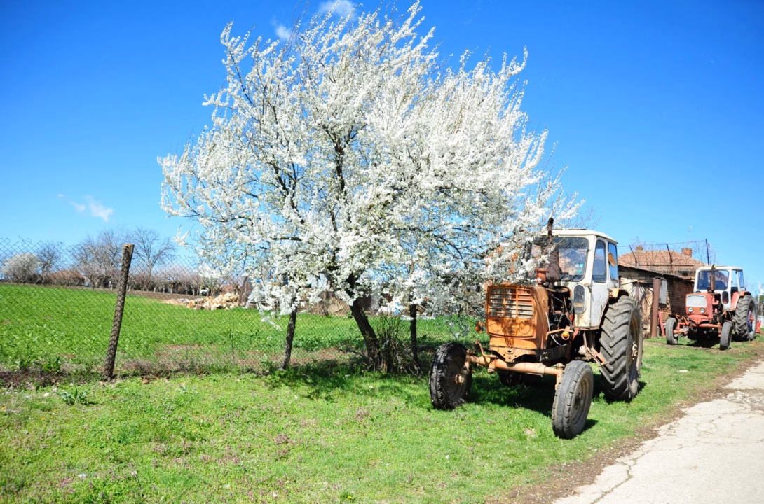Agriturismo Santa Margherita en Sicile : portrait de la ferme