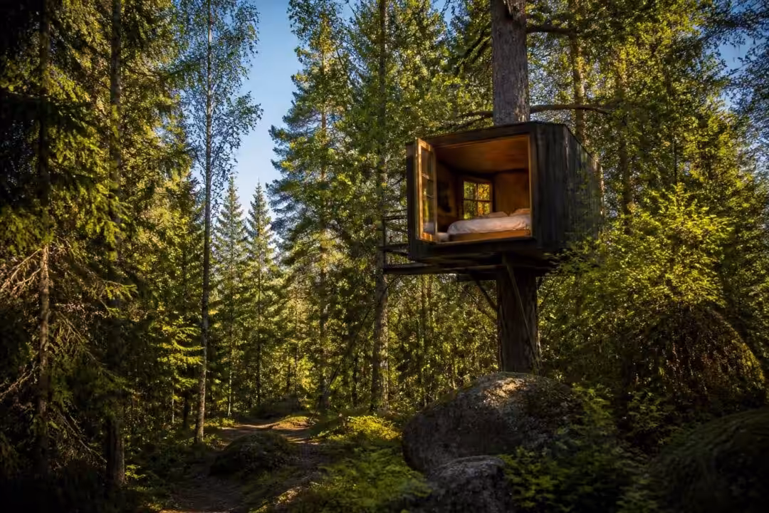 découvrez le tree hotel en suède et vivez une expérience unique en dormant dans une cabane perchée au cœur de la nature.